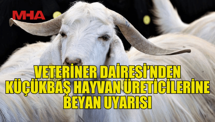 VETERİNER DAİRESİ’NDEN KÜÇÜKBAŞ HAYVAN ÜRETİCİLERİNE BEYAN UYARISI: SON TARİH 30 HAZİRAN