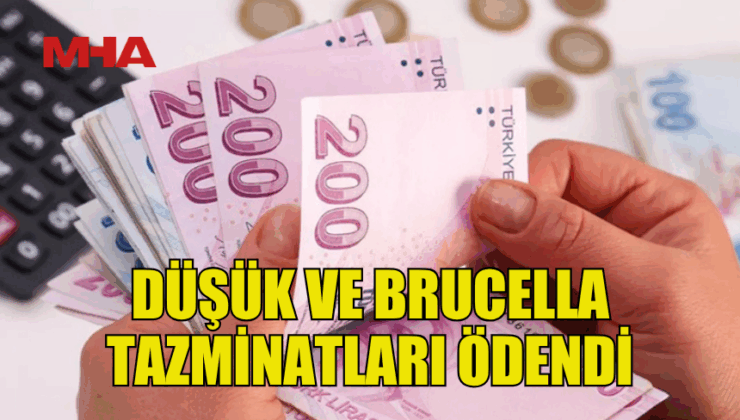 DÜŞÜK VE BRUCELLA TAZMİNATLARI ÖDENDİ