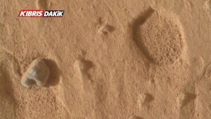 Sahara Çölü'nde bulunan gül rengi göktaşı 4,1 milyar yıllık Mars parçası çıktı