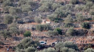 İşgalci İsrailliler, Batı Şeria'da Filistinlilerin hasat ettiği zeytinleri çaldı